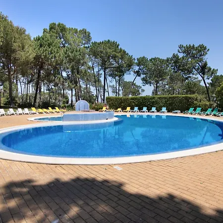 6 B Apartamento